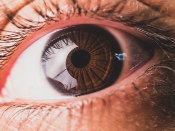 Close-up of human eye