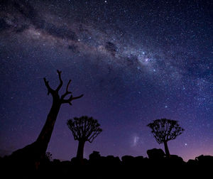 Low angle view of silhouette tree against sky at night