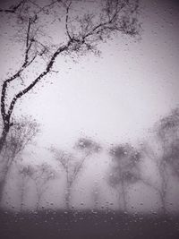 Close-up of water drops on glass