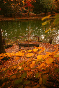 Scenic view of lake