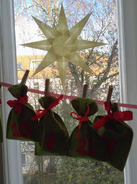 Close-up of flowers in vase