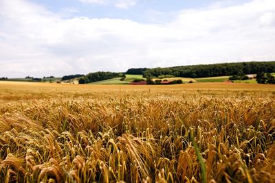 Scenic view of field against cloudy sky