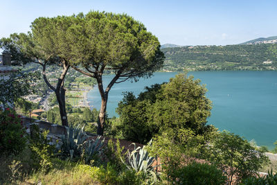 Trees by lake against sky