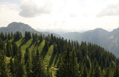 Panoramic view of trees and mountains against sky