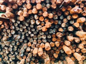 Full frame shot of logs in forest