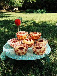 Close up of flowers in field