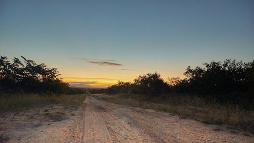 Road amidst trees against clear sky at sunset