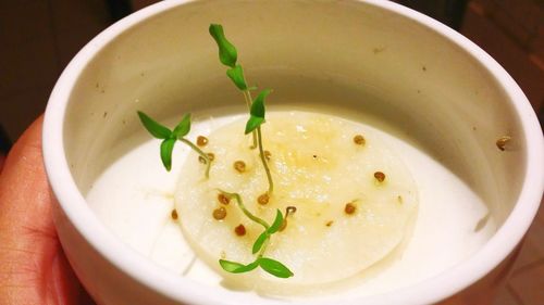 High angle view of food in bowl