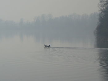 Scenic view of lake against trees