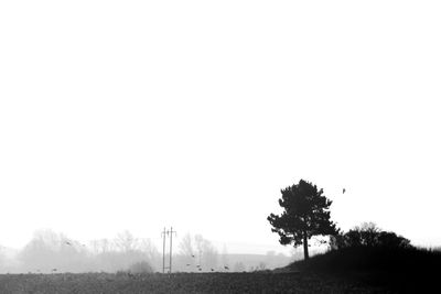 Scenic view of field against clear sky