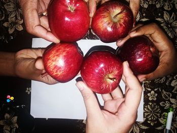 High angle view of woman holding apple