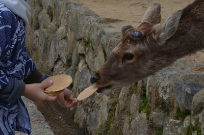 Close-up of hand eating