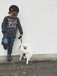 Portrait of a dog standing on road