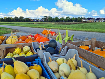 Different pumpkins on a wooden cart in the coutnryside from friesland in the netherlands