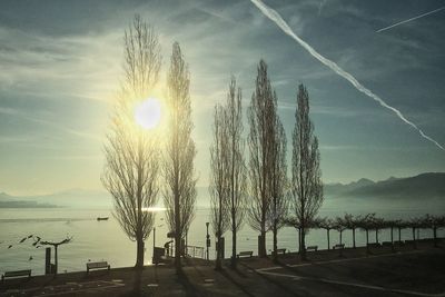 Trees by sea against sky during sunset