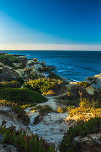 Scenic view of sea against clear blue sky