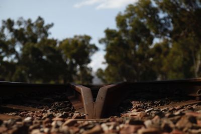 Close-up of railroad track amidst trees on field against sky