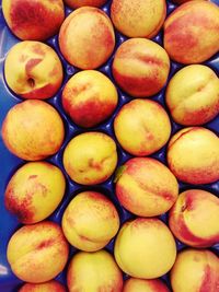 Full frame shot of food