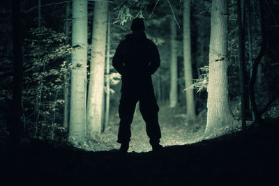 Rear view of man standing in forest