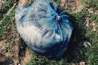 High angle view of banana on field