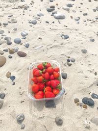 High angle view of strawberries on beach