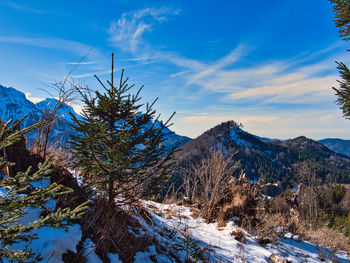 Scenic view of snowcapped mountains against blue sky