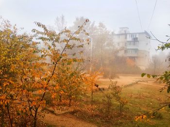 Trees and buildings against sky during autumn