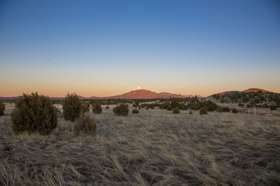 Scenic view of field against clear sky during sunset