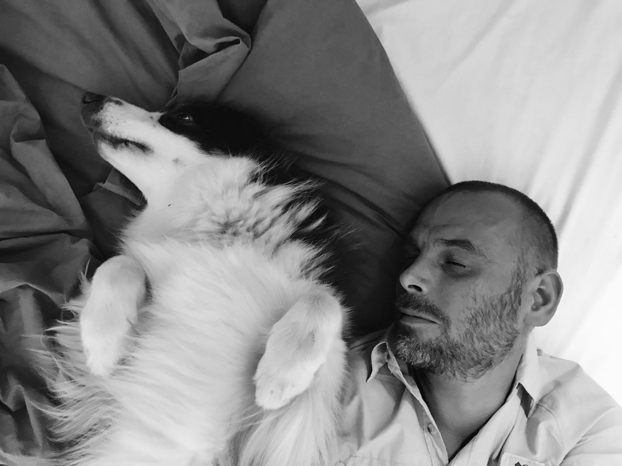 CLOSE-UP OF CAT SITTING ON BED WITH MAN