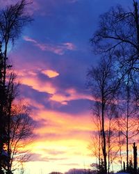 Silhouette of trees at sunset