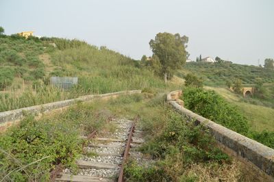 Scenic view of agricultural landscape against clear sky