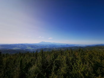 Scenic view of landscape against blue sky