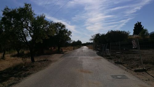 Narrow road along trees