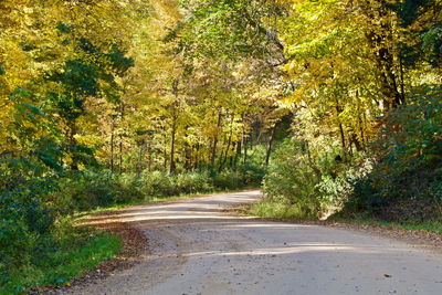 Road amidst trees in forest during autumn