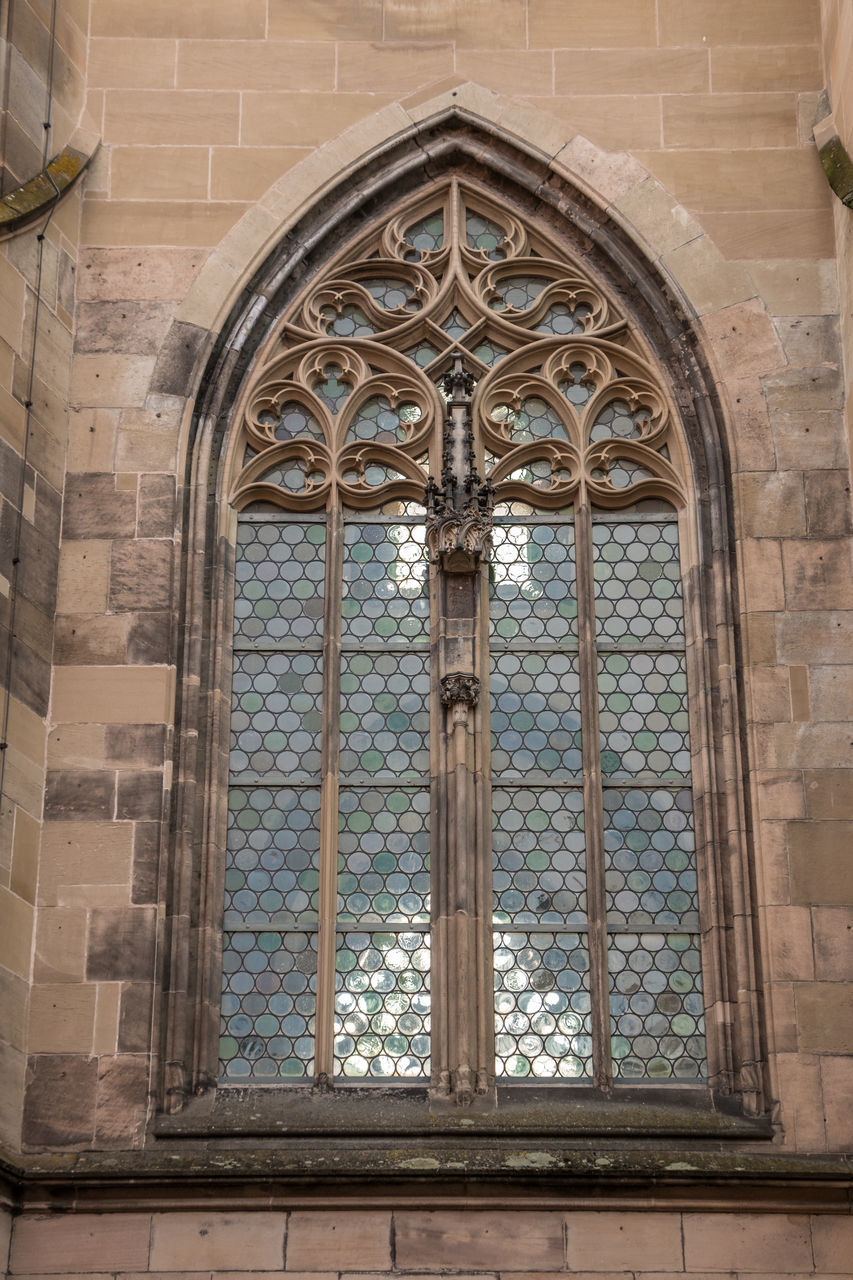 LOW ANGLE VIEW OF GLASS WINDOW OF A BUILDING