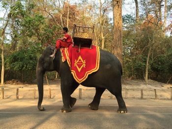 Full length of man riding horse