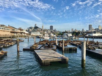 Scenic view of sea by city buildings against sky