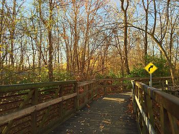 Railing along trees