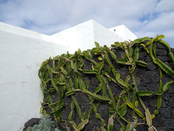 The spanish island of lanzarote