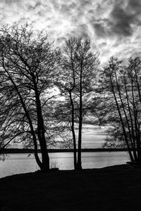 Bare trees on riverbank against sky