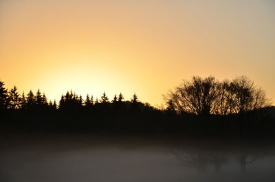 Silhouette trees by lake against clear sky during sunset