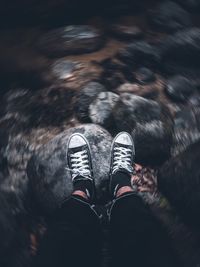 Low section of person wearing shoes in water