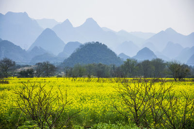 Scenic view of field against mountains