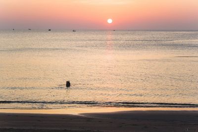 TCPM Sea Sunset