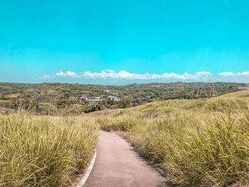 Scenic view of field against blue sky