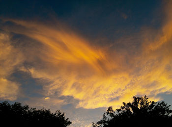 Low angle view of silhouette trees against dramatic sky