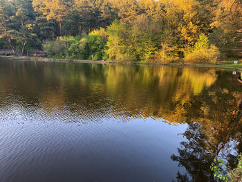 Scenic view of lake by trees during autumn