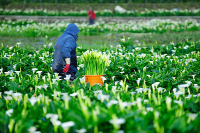 Side view of person working on field