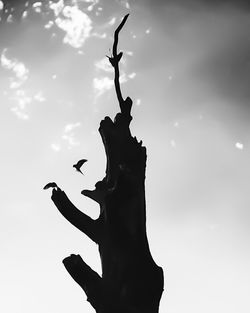 Low angle view of silhouette statue against sky