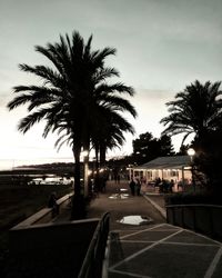 Silhouette palm trees on road in city against sky